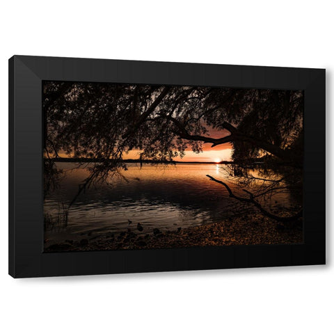 Classic Sunset 3 Black Modern Wood Framed Art Print by Malone, Will