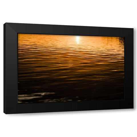 Golden 3 Black Modern Wood Framed Art Print with Double Matting by Malone, Will