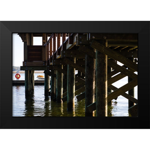 Salty Dog Black Modern Wood Framed Art Print by Malone, Will