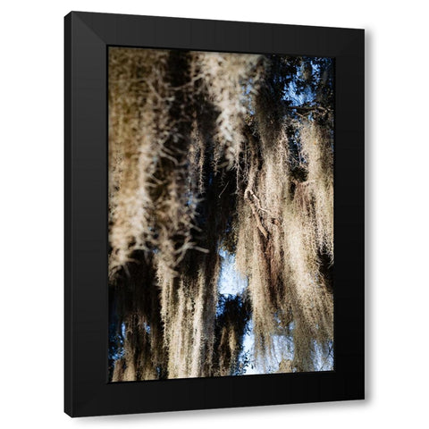Spanish Moss 4 Black Modern Wood Framed Art Print by Malone, Will