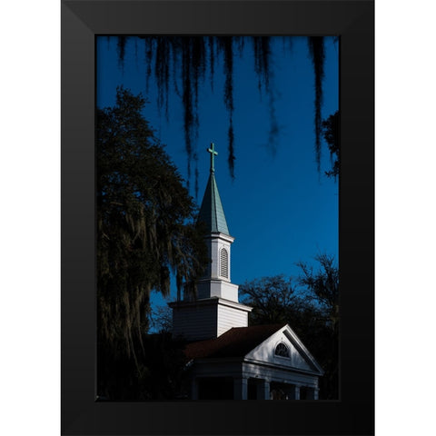 Spanish Moss Steeple Black Modern Wood Framed Art Print by Malone, Will