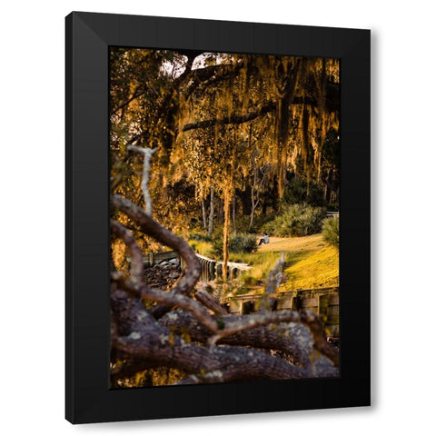 Sunset Spectator Black Modern Wood Framed Art Print with Double Matting by Malone, Will