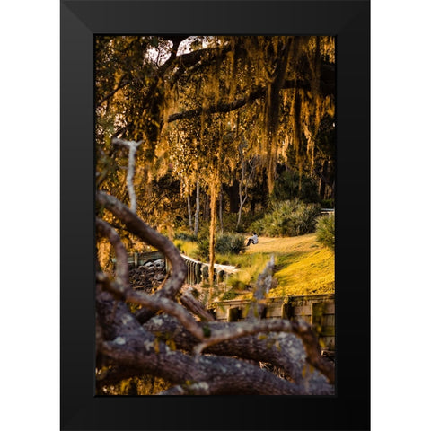 Sunset Spectator Black Modern Wood Framed Art Print by Malone, Will