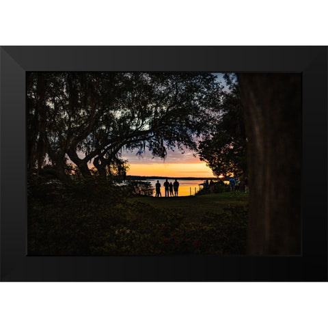 Sunset Spectators Black Modern Wood Framed Art Print by Malone, Will