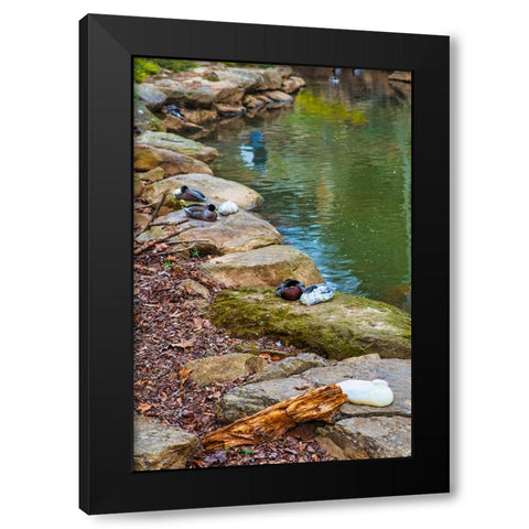 Asleep Black Modern Wood Framed Art Print by Malone, Will
