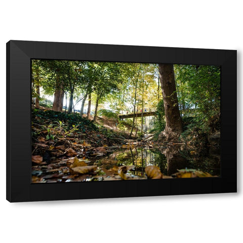 Fall Bridge Black Modern Wood Framed Art Print by Malone, Will