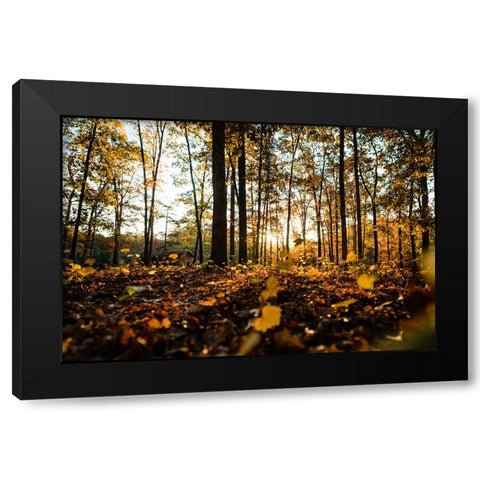 Fall Morning  Black Modern Wood Framed Art Print by Malone, Will