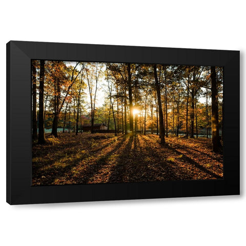 Fall Morning 2 Black Modern Wood Framed Art Print by Malone, Will