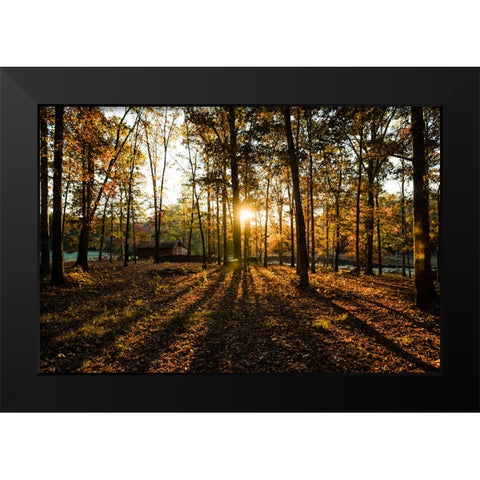 Fall Morning 2 Black Modern Wood Framed Art Print by Malone, Will