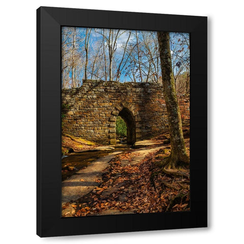 Poinsett Bridge Black Modern Wood Framed Art Print by Malone, Will
