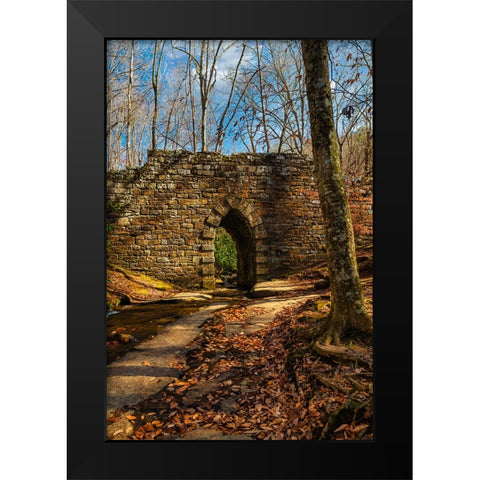 Poinsett Bridge Black Modern Wood Framed Art Print by Malone, Will