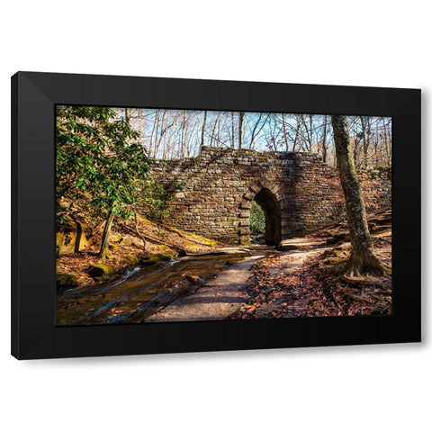 Poinsett Bridge 2 Black Modern Wood Framed Art Print by Malone, Will