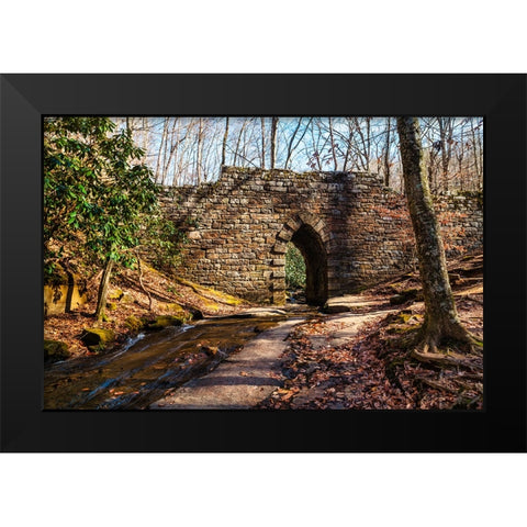 Poinsett Bridge 2 Black Modern Wood Framed Art Print by Malone, Will