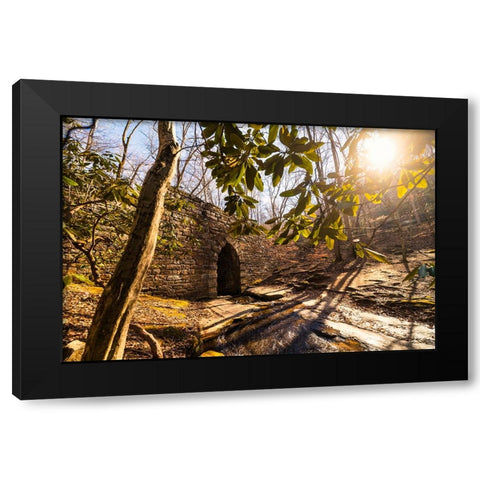 Poinsett Bridge 3 Black Modern Wood Framed Art Print by Malone, Will