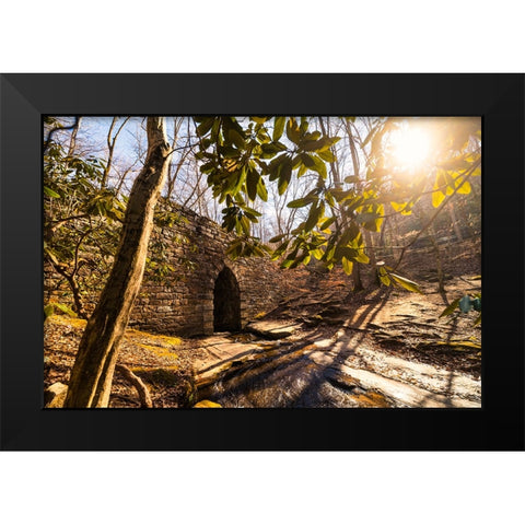 Poinsett Bridge 3 Black Modern Wood Framed Art Print by Malone, Will