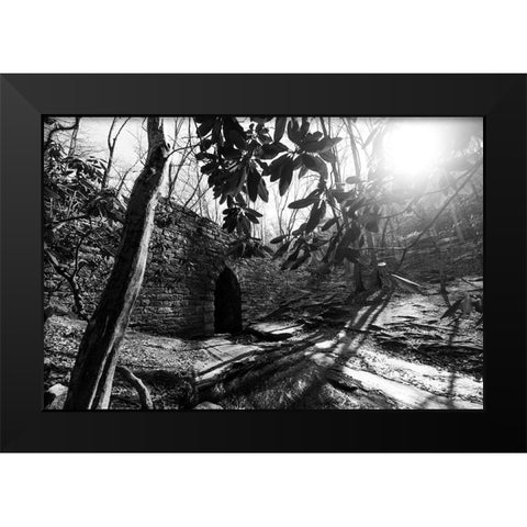 Poinsett Bridge 3 BW Black Modern Wood Framed Art Print by Malone, Will