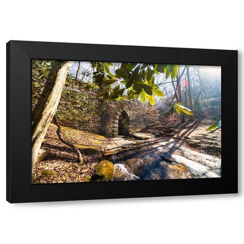 Poinsett Bridge 4 Black Modern Wood Framed Art Print by Malone, Will