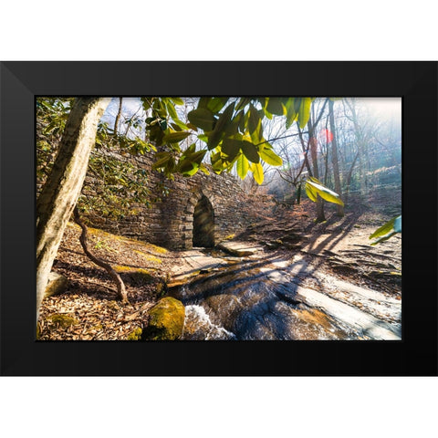 Poinsett Bridge 4 Black Modern Wood Framed Art Print by Malone, Will