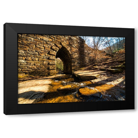Poinsett Bridge 5 Black Modern Wood Framed Art Print by Malone, Will