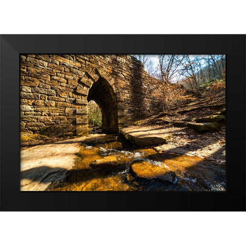 Poinsett Bridge 5 Black Modern Wood Framed Art Print by Malone, Will