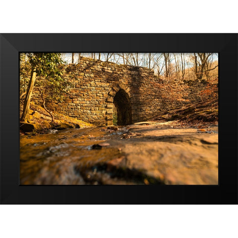 Poinsett Bridge 6 Black Modern Wood Framed Art Print by Malone, Will