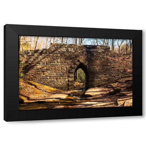 Poinsett Bridge 7 Black Modern Wood Framed Art Print with Double Matting by Malone, Will