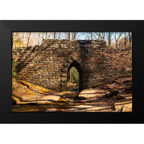 Poinsett Bridge 7 Black Modern Wood Framed Art Print by Malone, Will