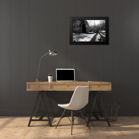 Poinsett Bridge 8 Black Modern Wood Framed Art Print by Malone, Will