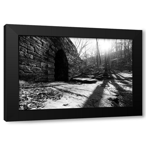 Poinsett Bridge 8 Black Modern Wood Framed Art Print by Malone, Will