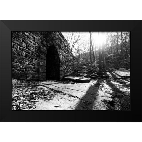 Poinsett Bridge 8 Black Modern Wood Framed Art Print by Malone, Will