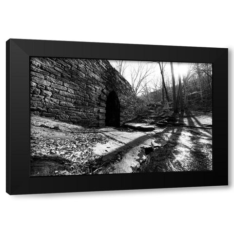 Poinsett Bridge 9 Black Modern Wood Framed Art Print with Double Matting by Malone, Will