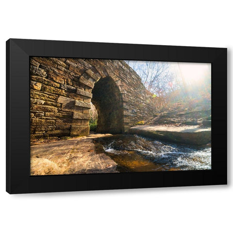 Poinsett Bridge 10 Black Modern Wood Framed Art Print by Malone, Will