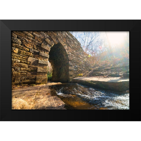 Poinsett Bridge 10 Black Modern Wood Framed Art Print by Malone, Will
