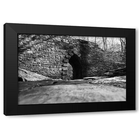 Poinsett Bridge 6 BW Black Modern Wood Framed Art Print by Malone, Will
