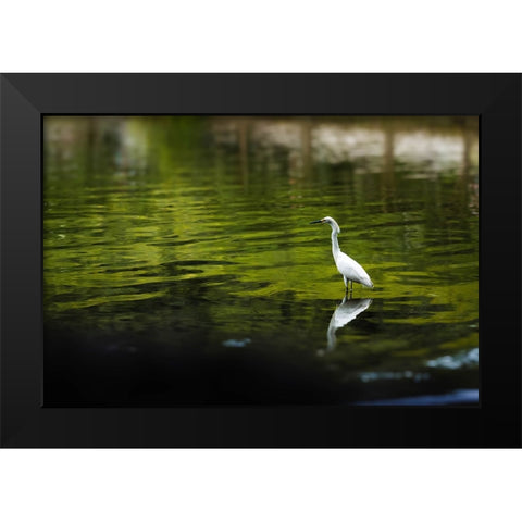 Reflection Black Modern Wood Framed Art Print by Malone, Will