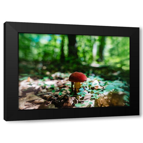 Shrooms Black Modern Wood Framed Art Print by Malone, Will