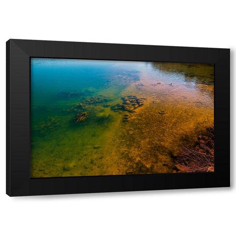 One Manâ€™s Trash Black Modern Wood Framed Art Print with Double Matting by Malone, Will