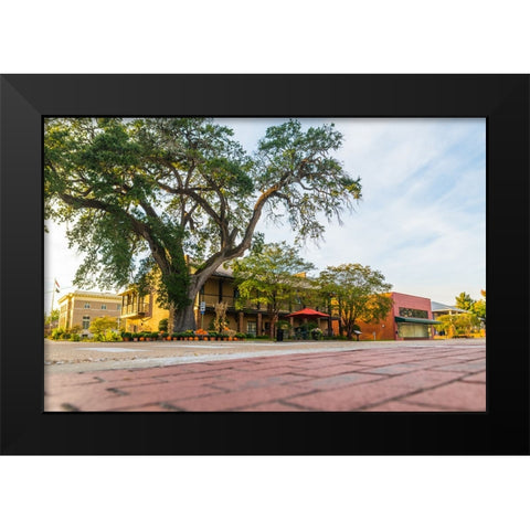 City Hall Black Modern Wood Framed Art Print by Malone, Will