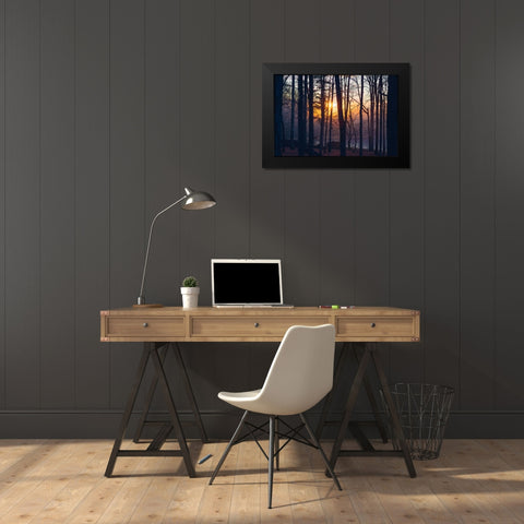 Foggy Sunrise Black Modern Wood Framed Art Print by Malone, Will