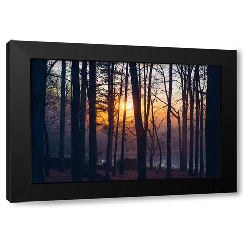 Foggy Sunrise Black Modern Wood Framed Art Print by Malone, Will