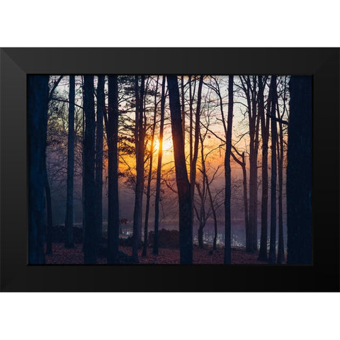 Foggy Sunrise Black Modern Wood Framed Art Print by Malone, Will