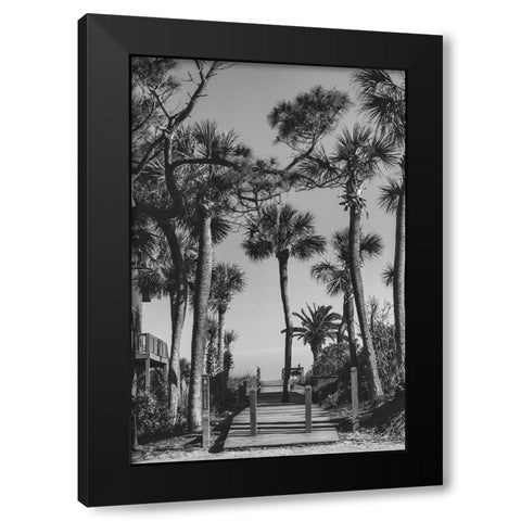 Beach Entry 20 Black Modern Wood Framed Art Print by Malone, Will