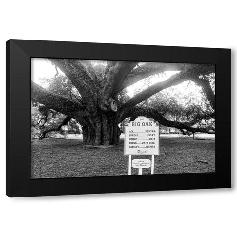 Big Oak Vintage Black Modern Wood Framed Art Print by Malone, Will