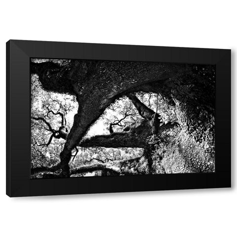 bigoakbw Black Modern Wood Framed Art Print with Double Matting by Malone, Will