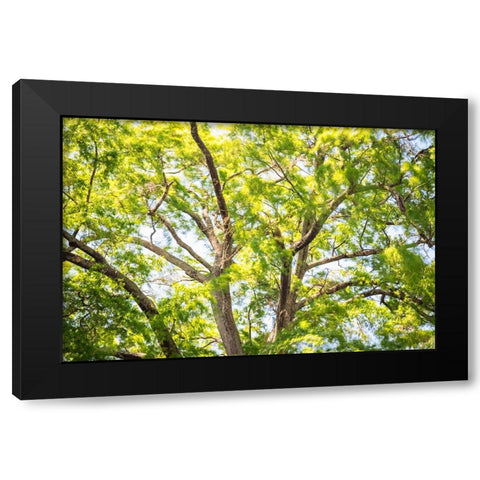 Blowing Leaves Black Modern Wood Framed Art Print by Malone, Will