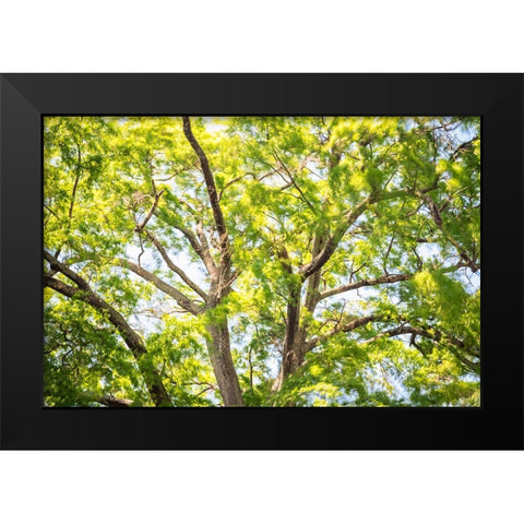 Blowing Leaves Black Modern Wood Framed Art Print by Malone, Will