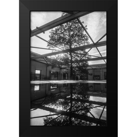 Breakthrough Black Modern Wood Framed Art Print by Malone, Will