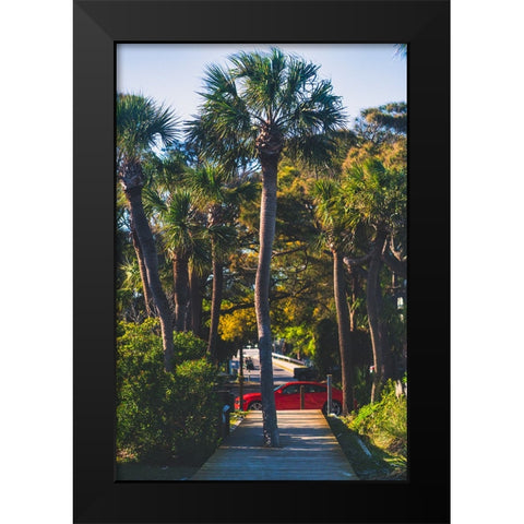 Camaro Palm Black Modern Wood Framed Art Print by Malone, Will