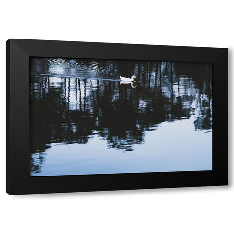 Cherokee Lake Duck Black Modern Wood Framed Art Print by Malone, Will
