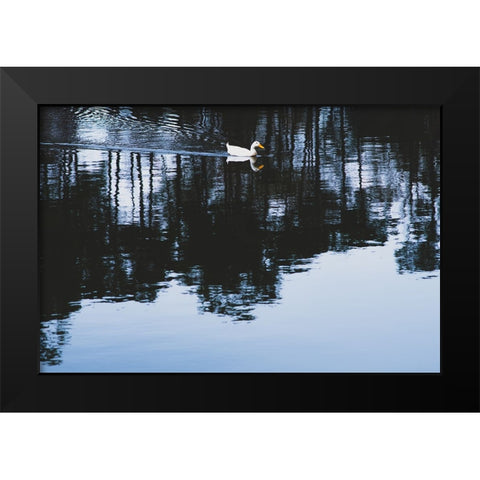 Cherokee Lake Duck Black Modern Wood Framed Art Print by Malone, Will